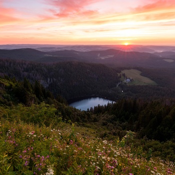 Feldberg søen i Schwarzwald