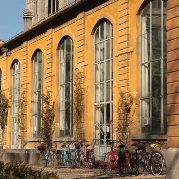 Den gamle botaniske haves gule facade i Firenze