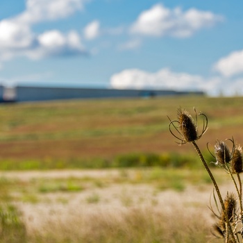 Flight 93 National Memorial i Pennsylvania