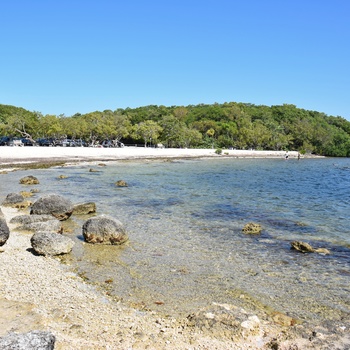 Strand i John Pennekamp Coral Reef State Park i Florida, USA