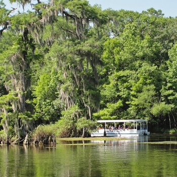 Wakulla Springs - turbåd - Florida i USA