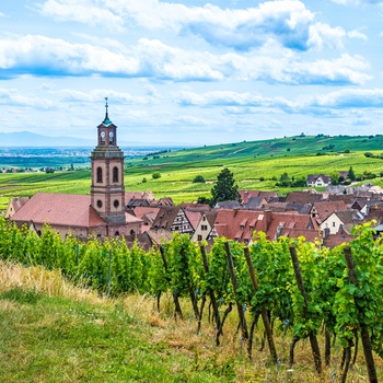 Udsigt fra vinmarkerne til byen Riquewihr i Alsace, Frankrig