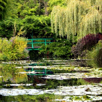 De berømte åkander i Monets Have i Giverny uden for Paris, Frankrig