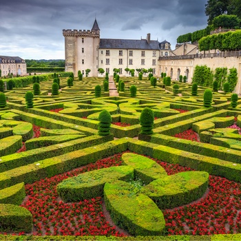 Smukke symmetriske haver ved slottet Château Villandry i Loiredalen, Frankrig