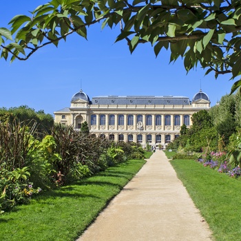Naturhistorisk museum i den botaniske have i Paris, Frankrig