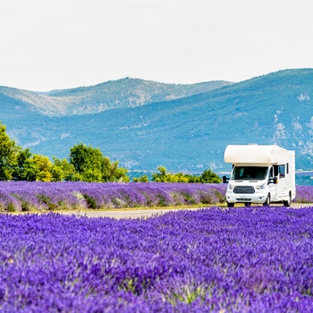 Autocamper gennem lavendelmarker i Provence - Frankrig