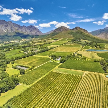 Vinmarker i Franschoek, Sydafrika
