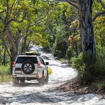 Fraser Island - 4WD full day tour - Queensland i Australien