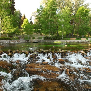 Giant Springs ved Great Falls