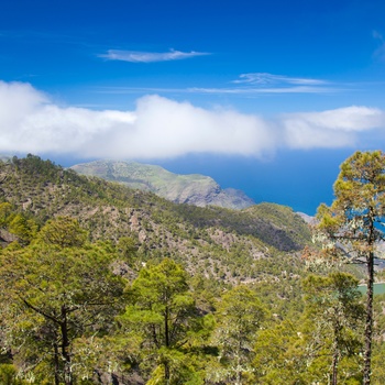 Udsigt fra Tamadaba naturpark på Gran Canaria, Spanien