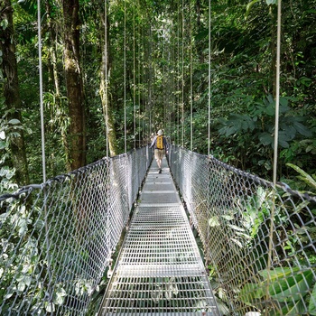 Hængebro gennem junglen i Costa Rica