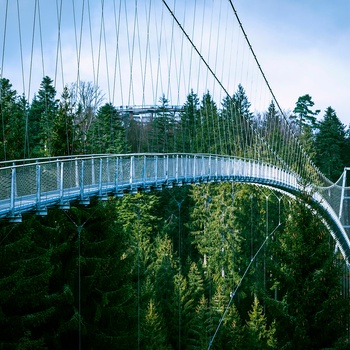 Hængebroen WildLine i Schwarzwald