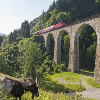 Höllsteig-Ravnnaviadukt © Hochschwarzwald Tourismus GmbH