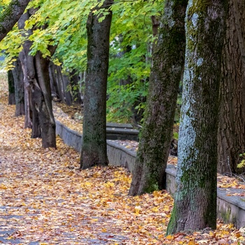 Point Pleasant Park, Halifax i Canada