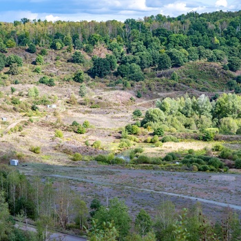 Messel Pit Fossil Site i Hessen - Midttyskland