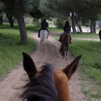 Hesteridning i Spanien