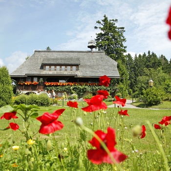 Hjemstavnsmuseum Hüsli i Grafenhausen © Hochschwarzwald Tourismus GmbH.jpg