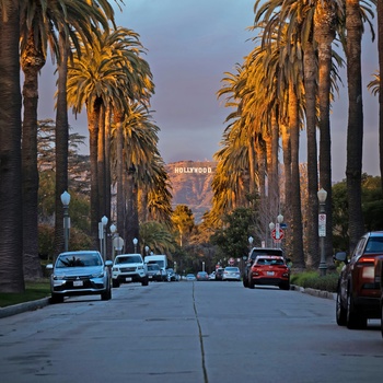 Hollywood skiltet, Los Angeles - Foto: Kevin Bonilla, Unsplash