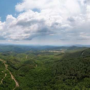 Udsigt ud over skove fra Holomontas-bjerget på Halkidiki - Grækenland