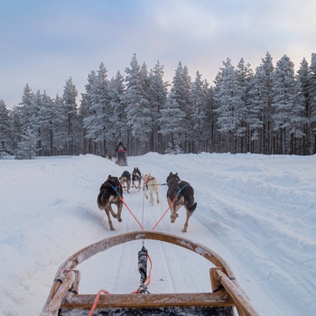 Hundeslædetur Norge