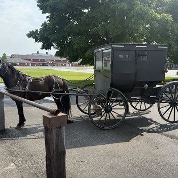 Parkeret hestevogn, Amish, Shipshewana, Indiana