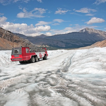 Ice Explorer Adventure´s terrængående busser til Athabasca Glacier, Alberta i Canada