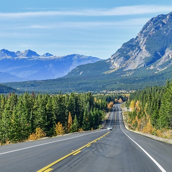 På kør-selv-ferie i Canada via Icefield Parkway i Jasper National Park Canada