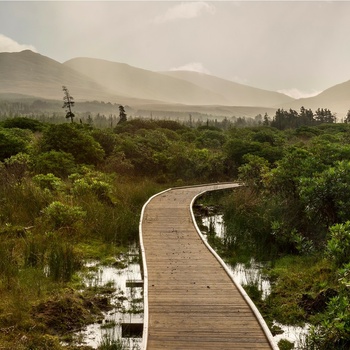 Irland, Ballycroy, County Mayo - boardwalk gennem moselandskab i Wild Nephin National Park