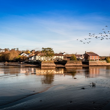 Irland, County Cork - ebbe i havnen ved Kinsale