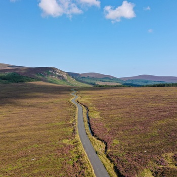 Irland, County Wicklow - den gamle Military Road tæt på Sally Gap