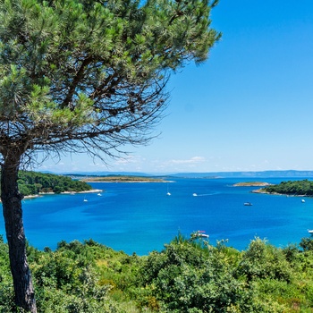 Én af de mange bugter i Kamenjak naturpark, Istrien i Kroatien