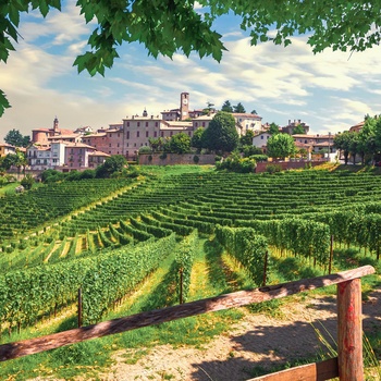 Neive vinby og Langhe vinmarker i Piemonte - Italien