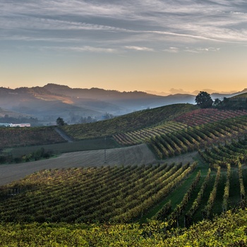 Barbaresco i Norditalien