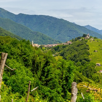 Vinområde i Veneto, Norditalien