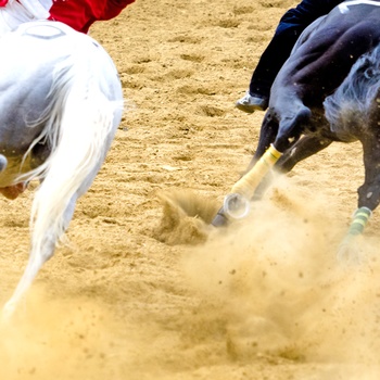 Hestevædeløbet Palio d'Asti 