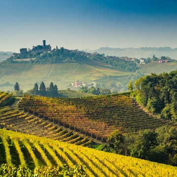 Vinmarker i Piemonte regionen