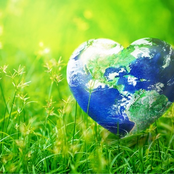 guide til bæredygtig rejse