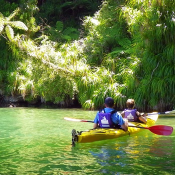Kayaking Queens Charlotte Sound