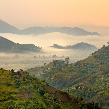 Kigezi højlandet “Afrikas Schweiz” i det  sydvestlige Uganda