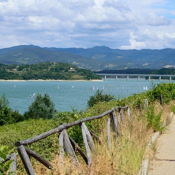 Cykel- og vandresti langs bredden af Lago di Bilancino i Toscana - Italien