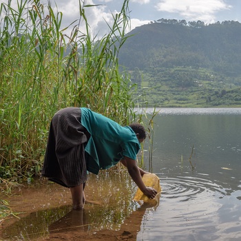 Lokal henter vand ved bredden af Mutanda-søen i Uganda