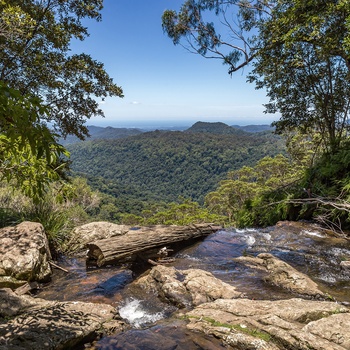 Lamington National Park i Queensland