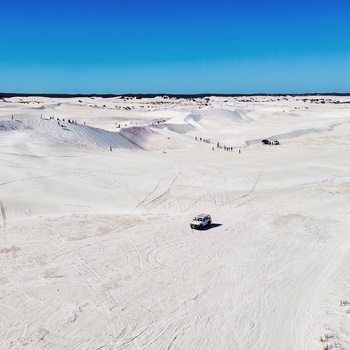 Sandklitterne Lancelin Sand Dunes - Western Australia