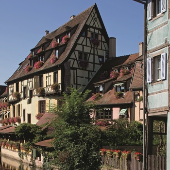 Le Marechal, Les Collectionneurs