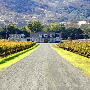 Vingård i Californien, livsnyderophold - USA