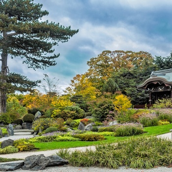 Den Japanske Have i Kew Gardens, Botanisk have i London, England