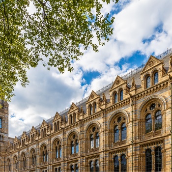 Museum of Natural History i London 