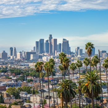 Los Angeles Downtown omkrandset af palmer