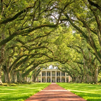 Indgangen til Oak Alley Plantation i Louisiana, USA