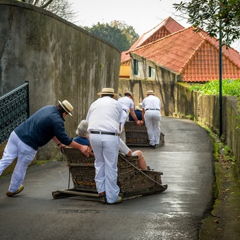 Kurveslædetur mellem Monte og Funchal